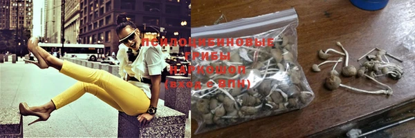 прущий лед Бронницы